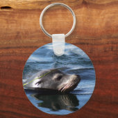 Porte-clés Porte - clé Sea Otter (Recto)
