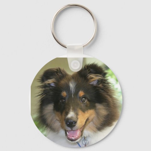 Porte-clés Porte - clé Sheltie (Recto)