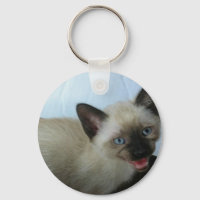 Porte - clé siamois kitten