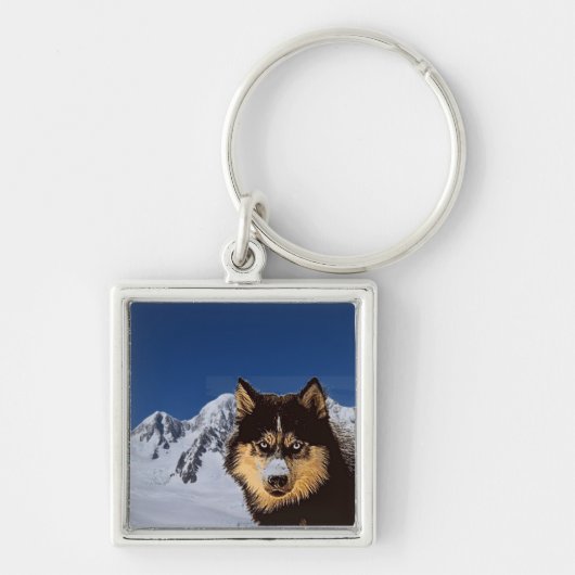 Porte-clés Porte - clé sibérien Husky (Devant)