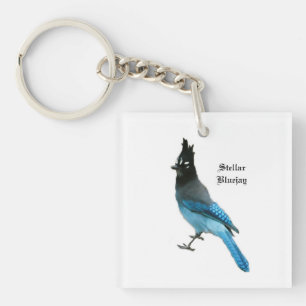 Porte-clés Porte - clé stellaire de geai bleu