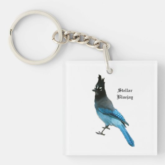Porte-clés Porte - clé Stellar Blue Jay (Devant)