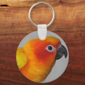 Porte-clés Porte - clé Sun Conure (Recto)