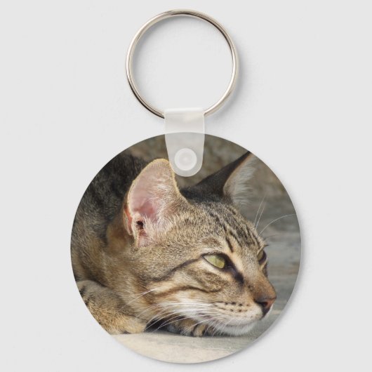 Porte-clés Porte - clé Tabby Cat (Recto)