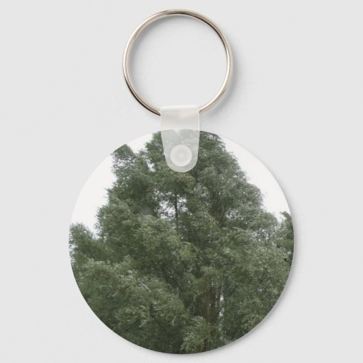 Porte-clés Porte - clé Treetops (Recto)
