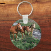 Porte-clés Porte - clé trio cheval (Recto)