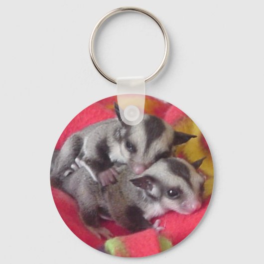Porte-clés Porte - clé Twin Joeys (Recto)