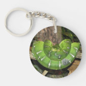 Porte-clés Porte - clé vert de serpent de boa d'arbre (Devant)