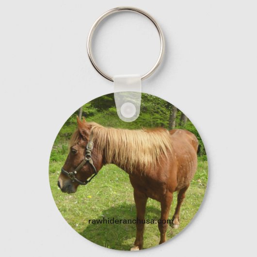 Porte-clés Porte - clé Web (Recto)