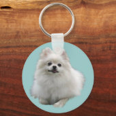 Porte-clés Porte - clés de chiens (Recto)