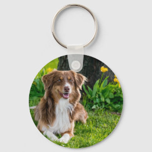 Porte-clés Porte - clés Photo Personnalisés Pour Animaux De C