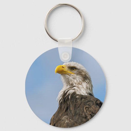 Porte-clés Portrait d'aigle américain dans la nature (Recto)