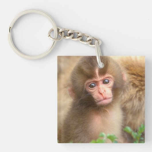 Porte-clés Portrait de bébé singe des neiges (Devant)