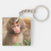 Porte-clés Portrait de bébé singe des neiges (Dos)