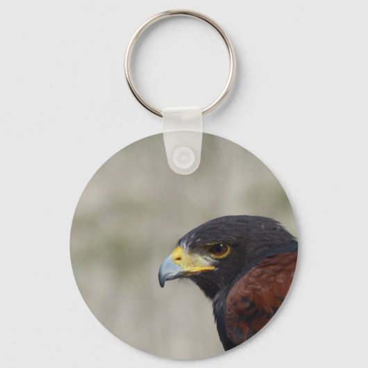 Porte-clés Portrait de Buse de Harris (Recto)