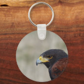 Porte-clés Portrait de Buse de Harris (Recto)
