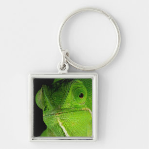 Porte-clés Portrait de caméléon à cou plat