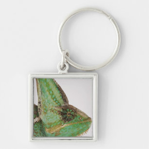 Porte-clés Portrait de caméléon hardiment coloré du Yémen