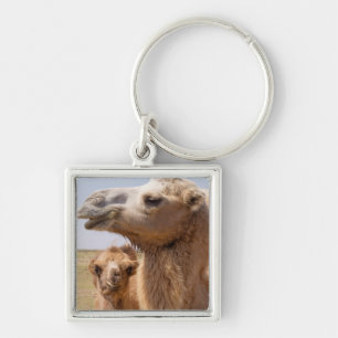 Porte-clés Portrait de chameau de Bactriane