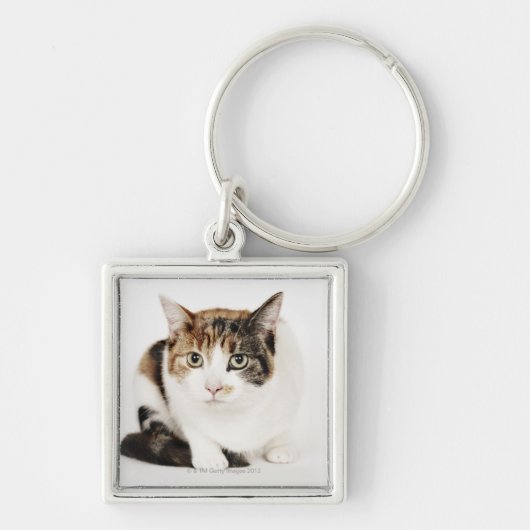 Porte-clés Portrait de chat de calicot (Devant)