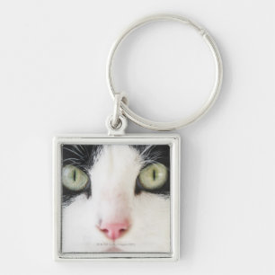 Porte-clés Portrait de chat domestique