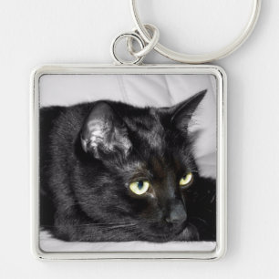 Porte-clés Portrait de chat noir mignon