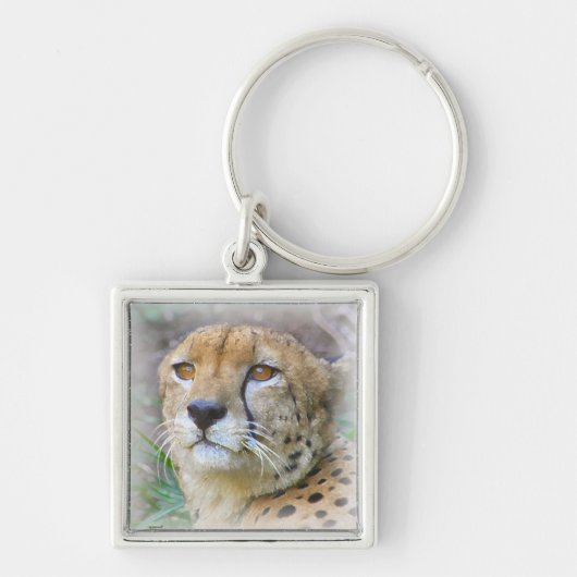 Porte-clés Portrait de Cheetah (Devant)