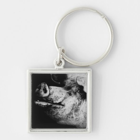 Porte-clés portrait de cochon (Devant)