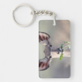 Porte-clés Portrait de Kudu (Devant)
