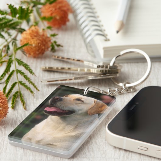 Porte-clés Portrait De Labrador Retriever, Hilton (Devant droit)