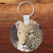 Porte-clés Portrait de Léopard (Recto)