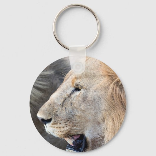 Porte-clés Portrait de Lion (Recto)