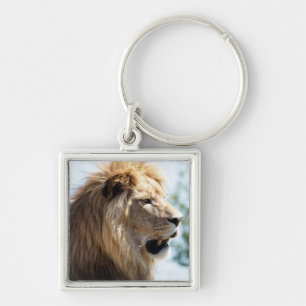 Porte-clés Portrait de lion vu du profil