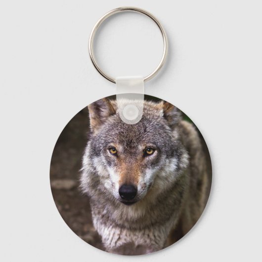 Porte-clés Portrait de loup (Recto)