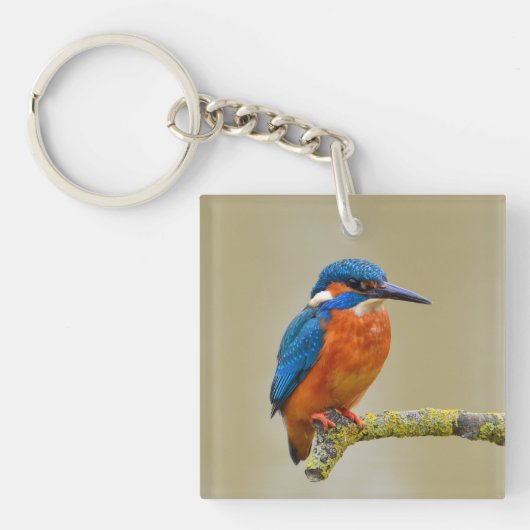 Porte-clés Portrait de martin-pêcheur (Devant)
