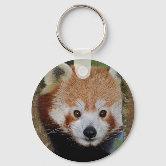 Porte-clés portrait de panda (Recto)