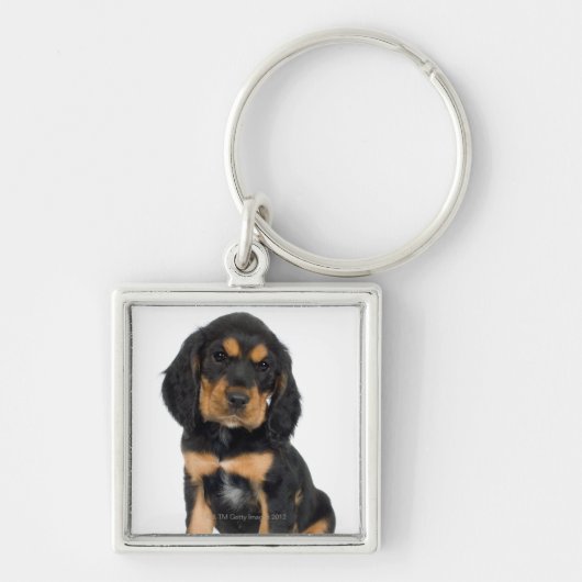 Porte-clés Portrait de studio de chiot de rottweiler (Devant)