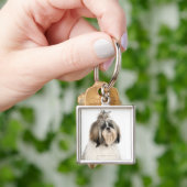 Porte-clés Portrait de studio de Shih Tzu (main)