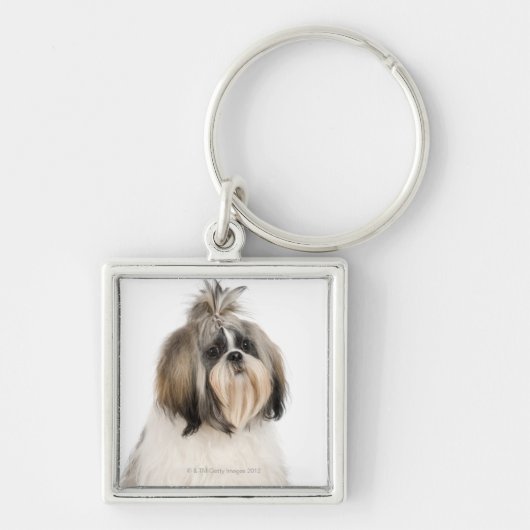 Porte-clés Portrait de studio de Shih Tzu (Devant)