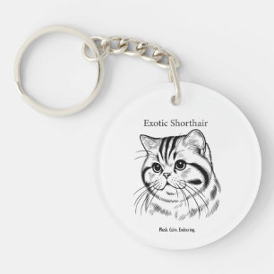 Porte-clés Portrait d'Exotic Shorthair