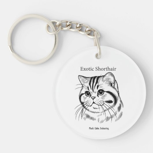 Porte-clés Portrait d'Exotic Shorthair (Devant)