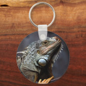 Porte-clés Portrait d'iguane vert (Recto)