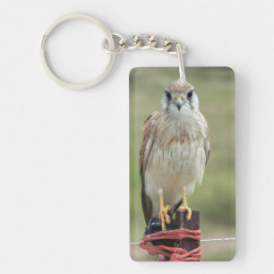 Porte-clés Portrait d'oiseau Faucon crécerelle de Nankin