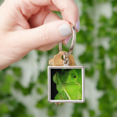 Porte-clés Portrait Du Chameleon À Cou-Volant (main)