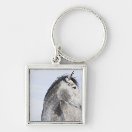 Porte-clés portrait du cheval blanc 2 (Devant)