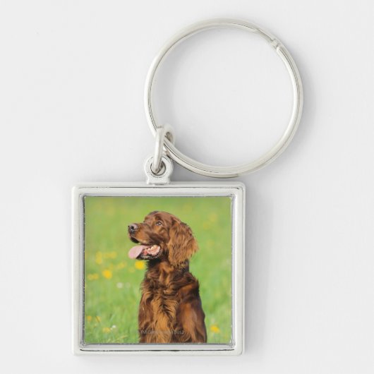 Porte-clés Portrait du chien 2 (Devant)