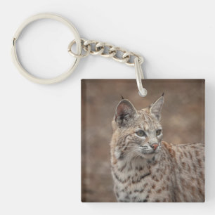 Porte-clés Portrait d'un Bobcat