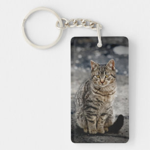 Porte-clés Portrait d'un chat