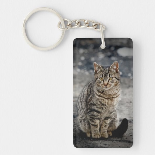 Porte-clés Portrait d'un chat (Devant)