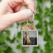 Porte-clés Portrait d'un chien (main)